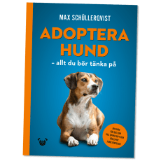 adoptera hund