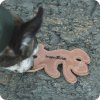 Hundleksak i Läder från Swaggin Tails med liten hund