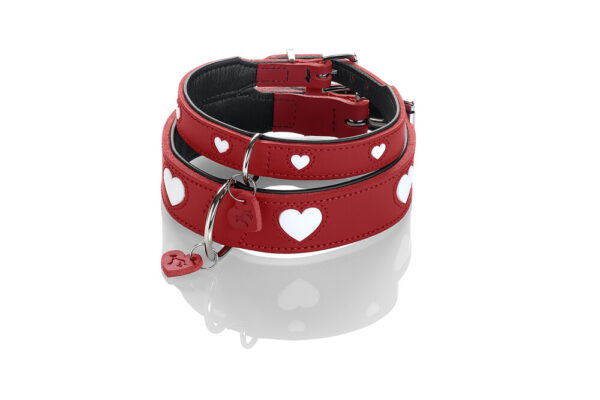 COLLAR_LOVE_1 COLLAR_LOVE_1