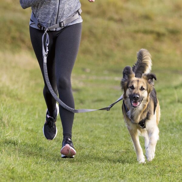 DOG_12767-3 DOG_12767-3
