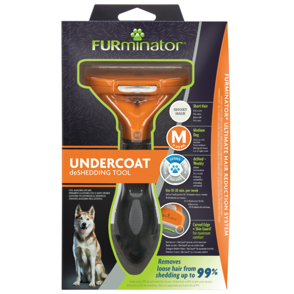 Medium Dog Short Hair frp Medium Dog Short Hair frp