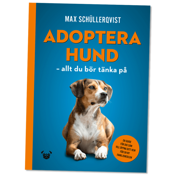 adopterahund