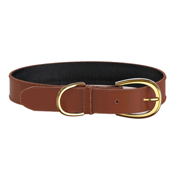 brown_front