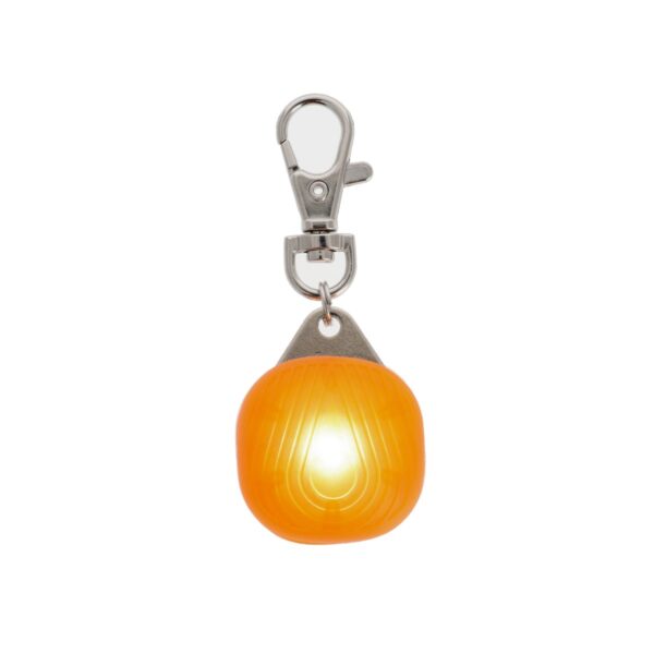 burgerblinkerorange