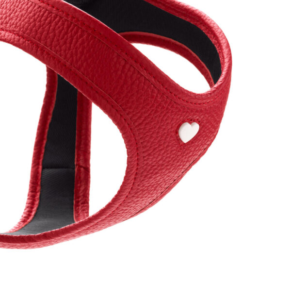 harness_love2 harness_love2