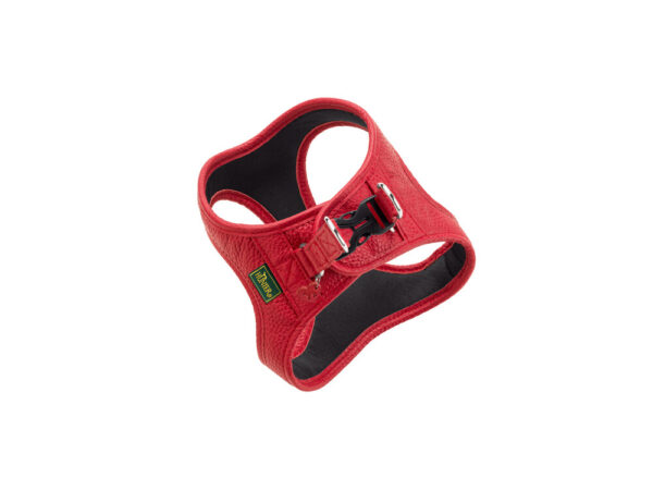 harness_love3 harness_love3