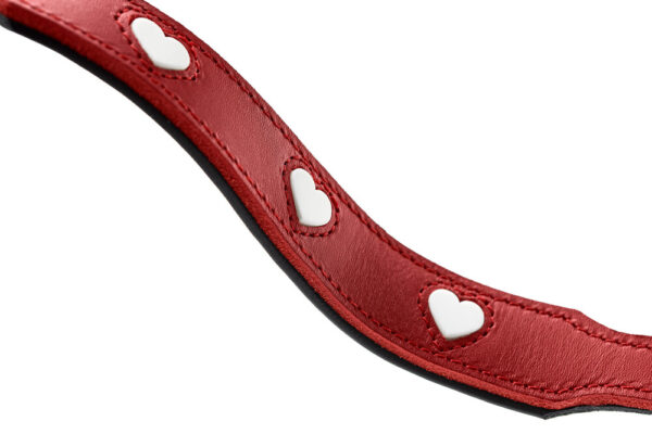 leash_love1 leash_love1