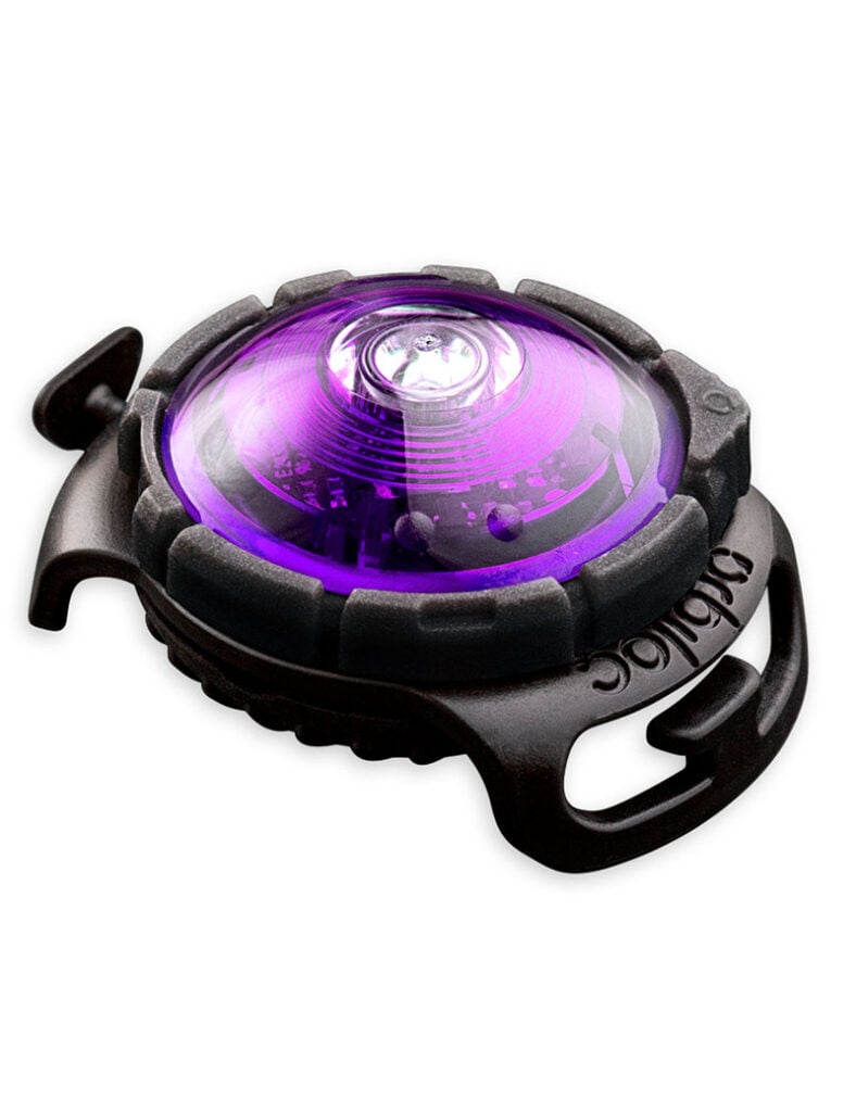 Orbiloc Dual Säkerhetslampa Lila