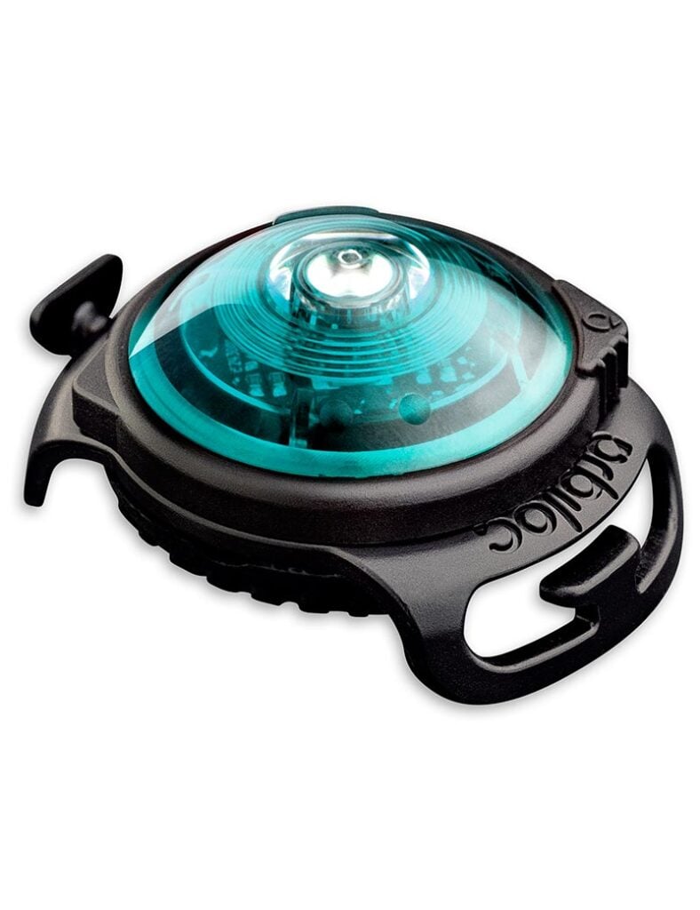 Orbiloc Dual Säkerhetslampa Turkos