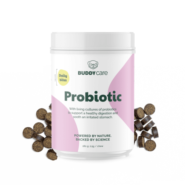 probiotic_front-1024x1024