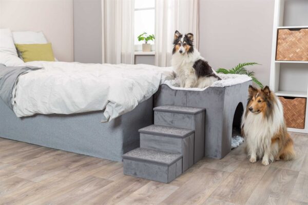 DOG_38042-4 DOG_38042-4