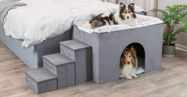 DOG_38042-7 DOG_38042-7