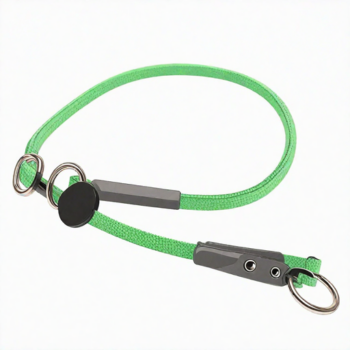 Retrieverhalsband/ Dressyrhalsband
