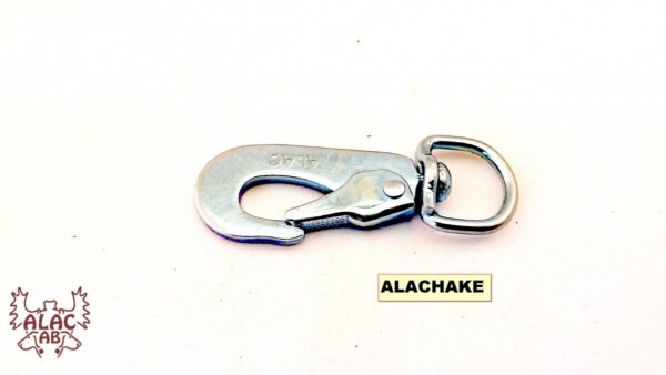 alachake3-49594 alachake3-49594