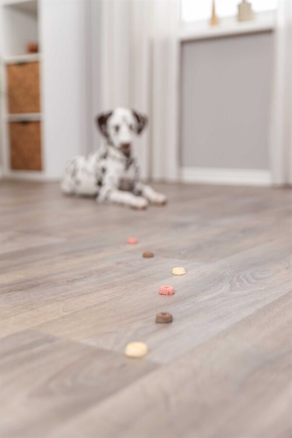 PRO_DOG_31671-1 PRO_DOG_31671-1